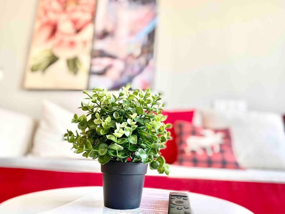 Tropicana 218 Macalister #Wondercolor #Infinity Pool #Georgetown #5Pax #2Br 2Bath #1King 1Queen 1Single #Quality Well Maintained #Private Host Bagian luar foto